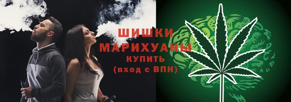 ALPHA PVP Костерёво