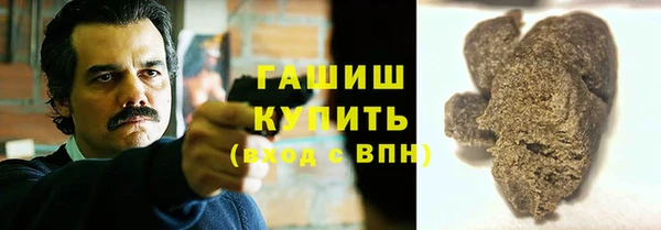 твердый Краснослободск