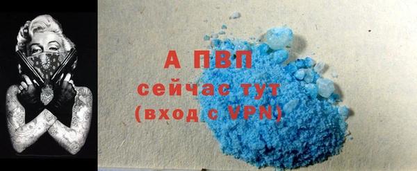 эйфоретик Ладушкин