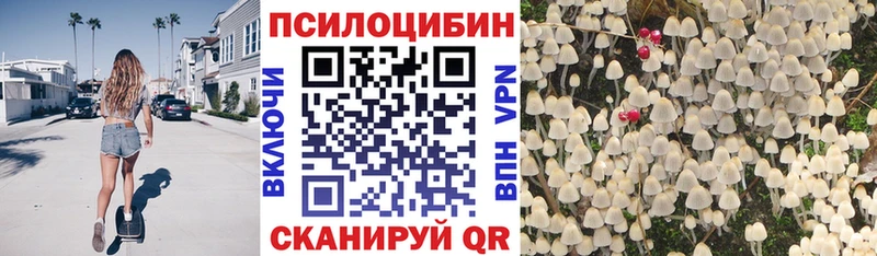 Галлюциногенные грибы MAGIC MUSHROOMS  Купить где  Камбарка 